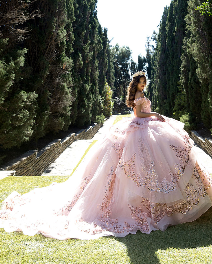 Long Train Embroidered Quince Dress. PQ1074 BY Bella couture.