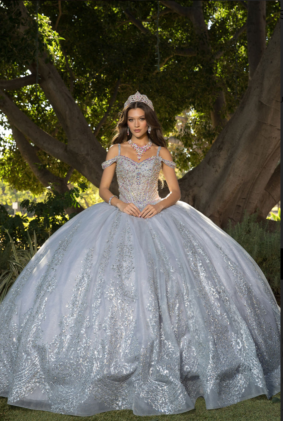 Platinum Quinceanera Dress. PQ1077 by Bella Couture