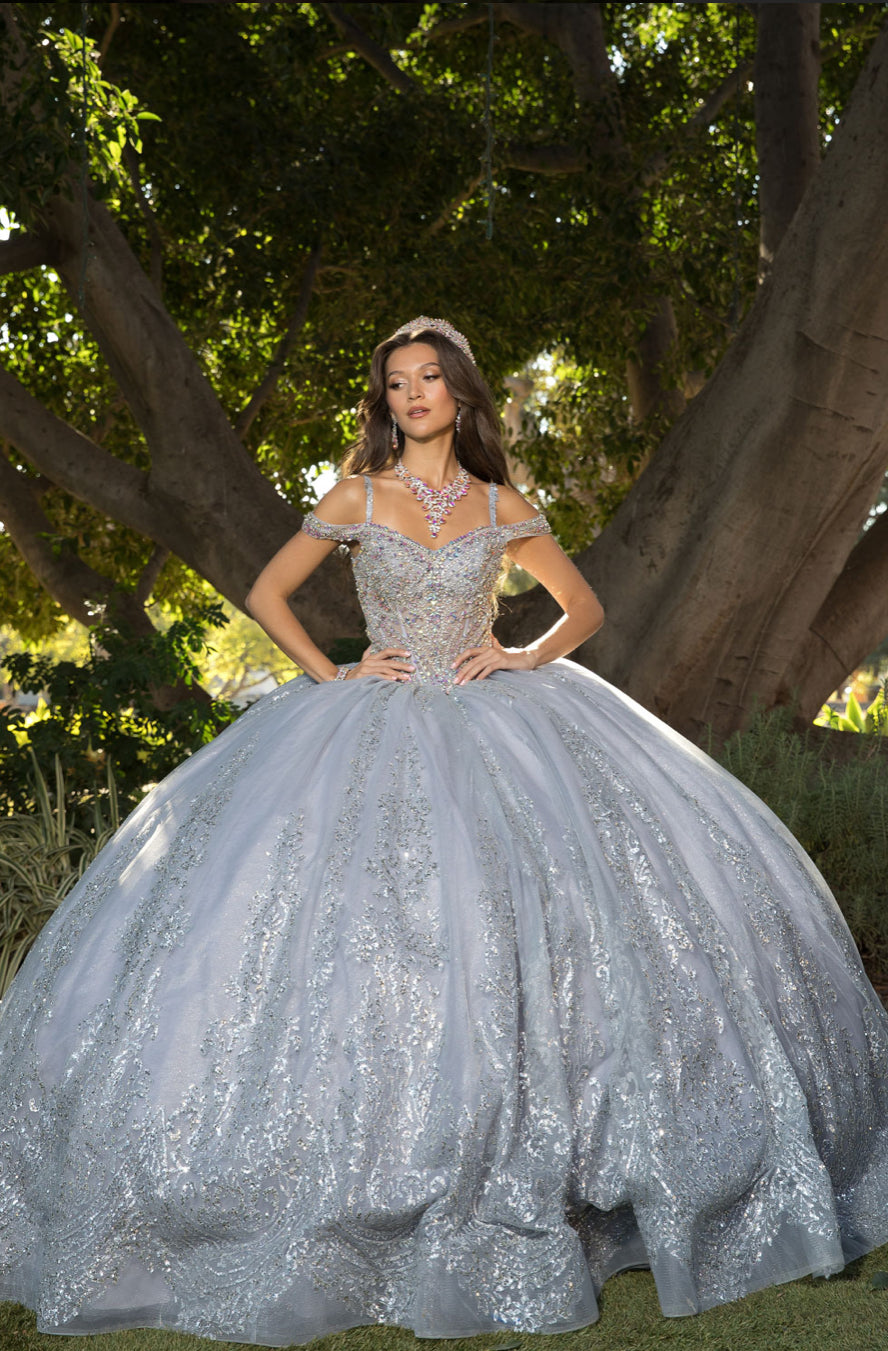 Platinum Quinceanera Dress. PQ1077 by Bella Couture