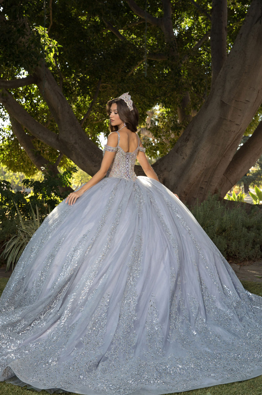 Platinum Quinceanera Dress. PQ1077 by Bella Couture