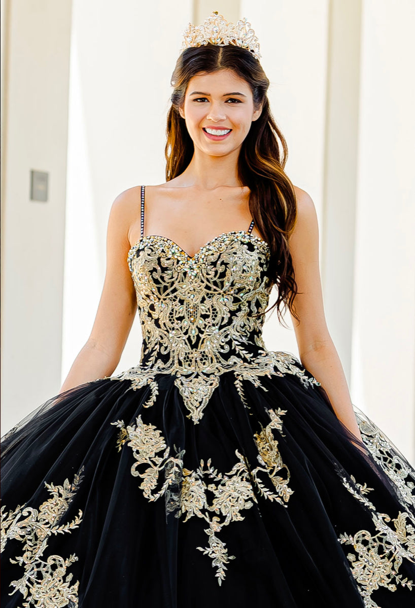 Embroidered Lace Quinceanera dress. PQ1016 By Bella Couture.