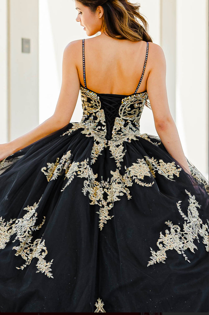 Embroidered Lace Quinceanera dress. PQ1016 By Bella Couture.