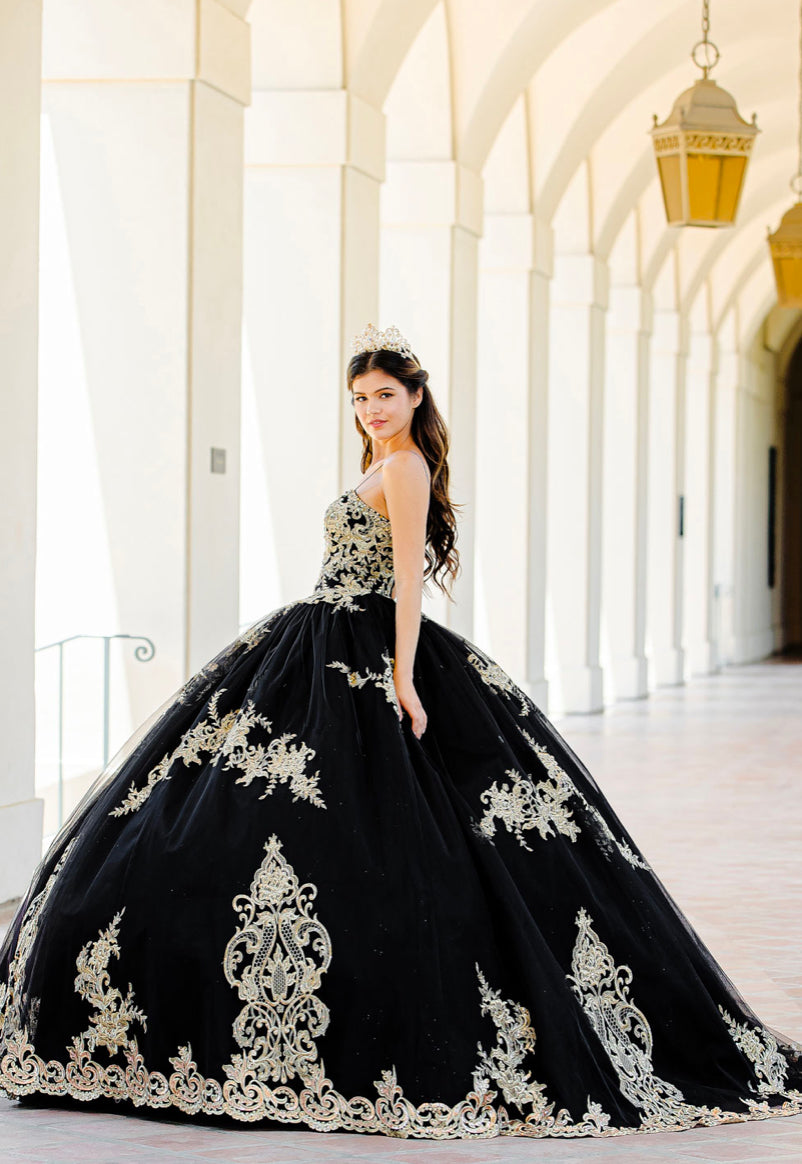 Embroidered Lace Quinceanera dress. PQ1016 By Bella Couture.