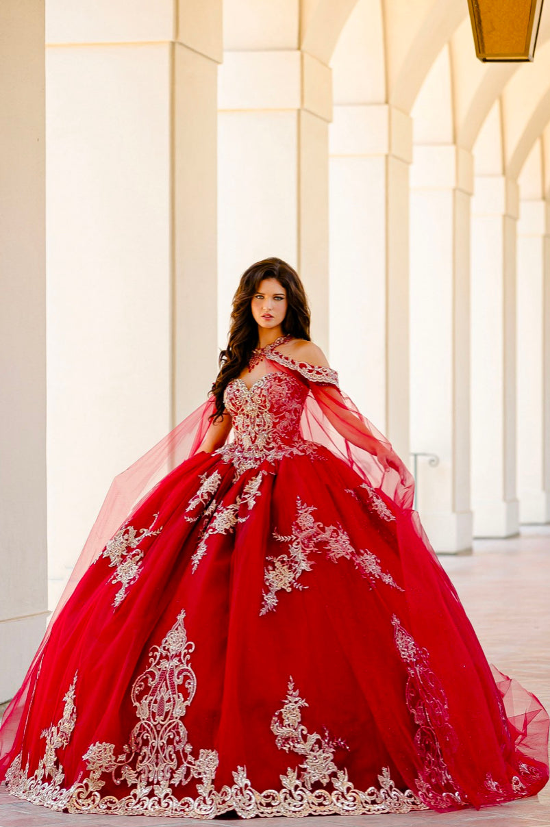 Embroidered Lace Quinceanera dress. PQ1016 By Bella Couture.