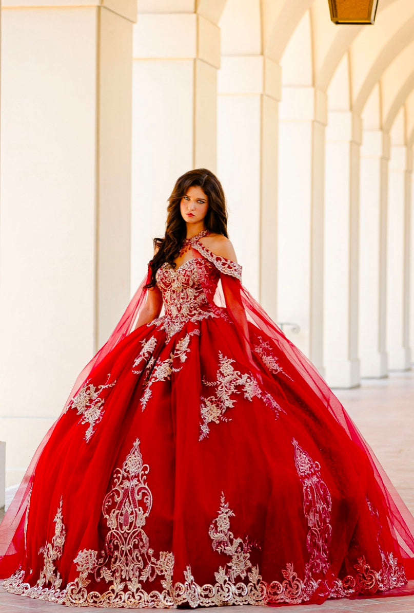 Embroidered Lace Quinceanera dress. PQ1016 By Bella Couture.