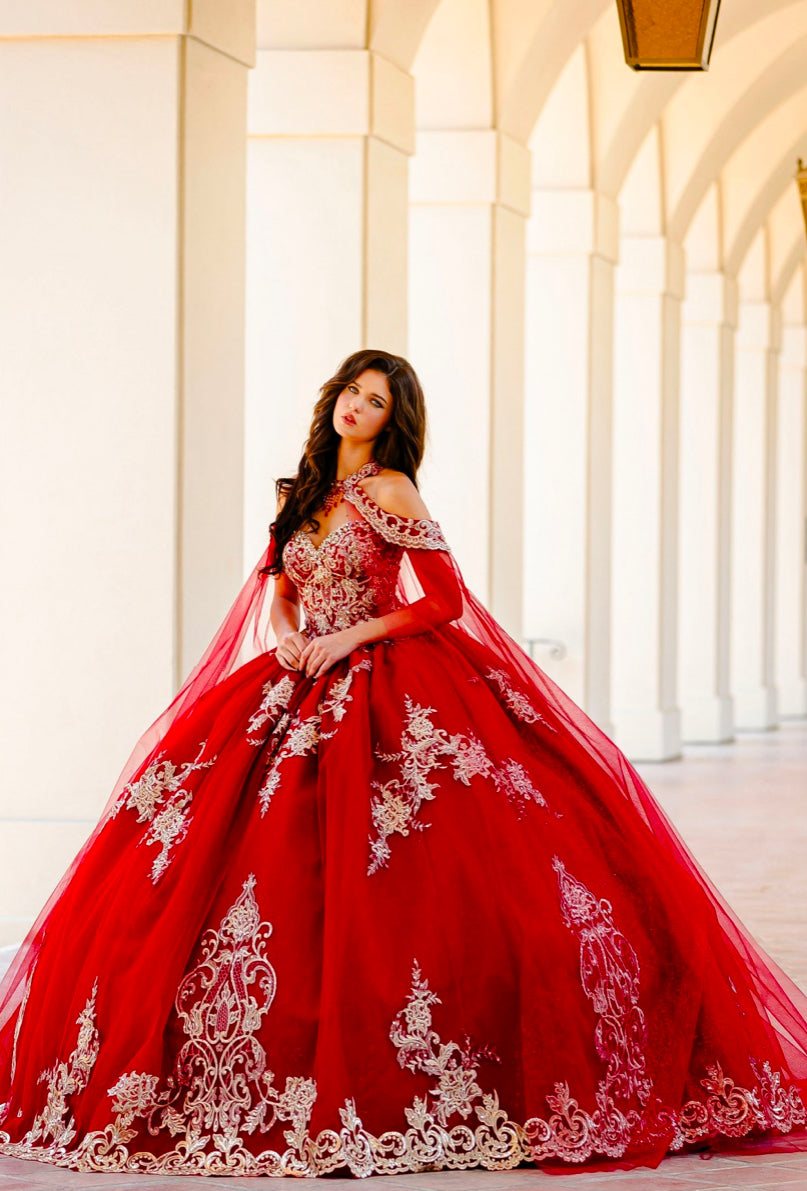 Embroidered Lace Quinceanera dress. PQ1016 By Bella Couture.