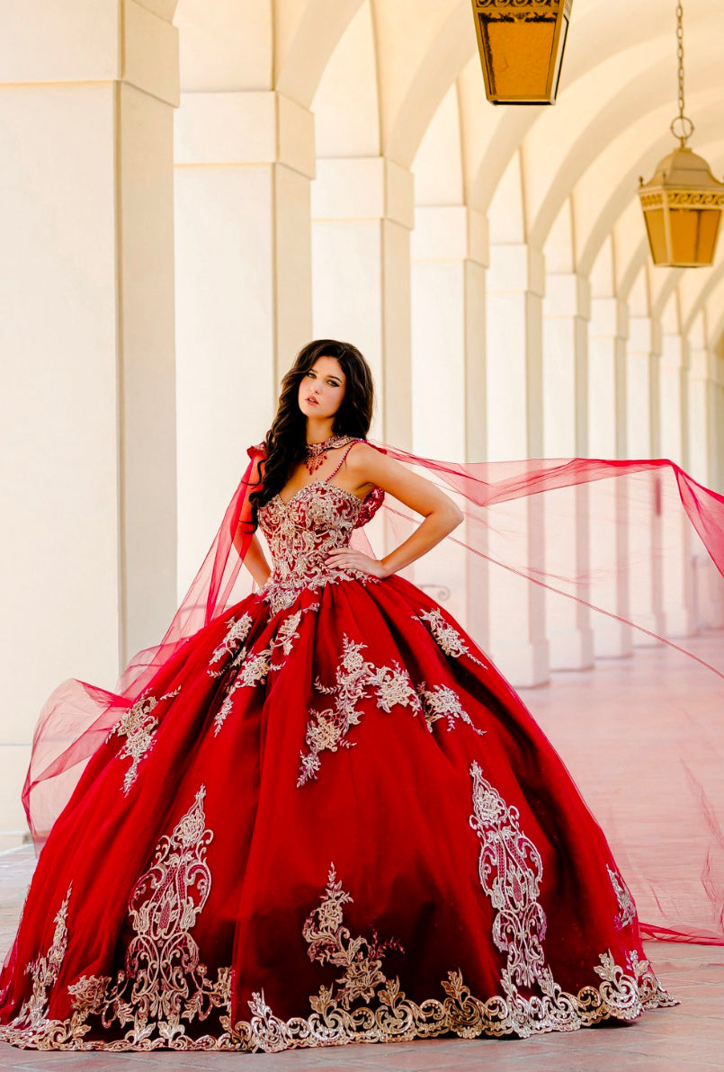 Embroidered Lace Quinceanera dress. PQ1016 By Bella Couture.