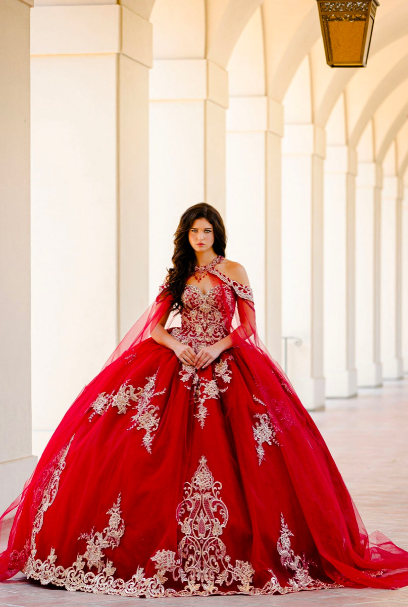 Embroidered Lace Quinceanera dress. PQ1016 By Bella Couture.