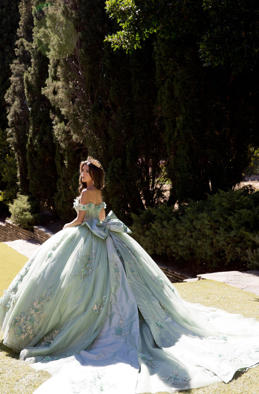 Sage Green Long Train Quince Dress. PQ1081 BY Bella Couture