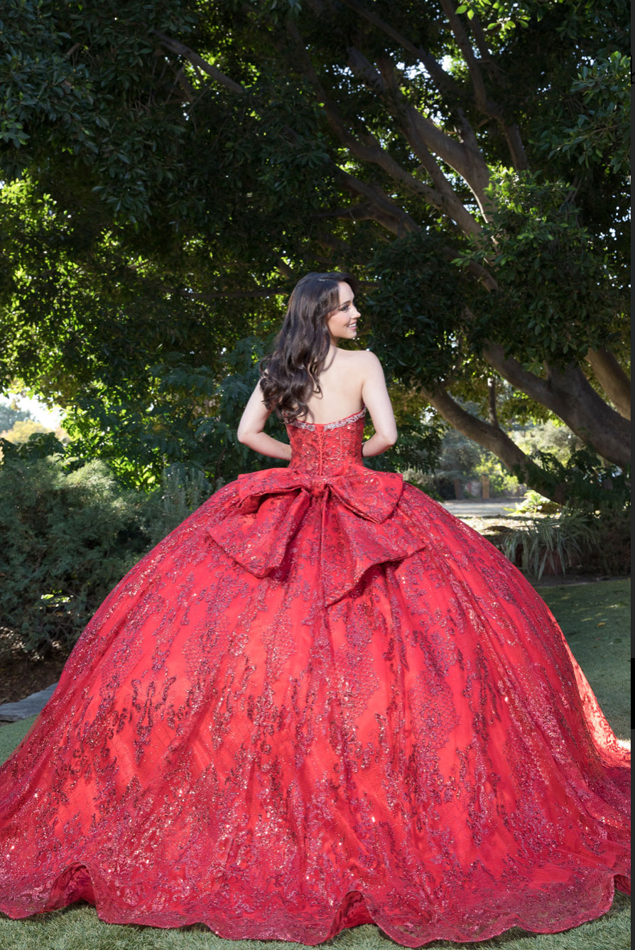 Sparkly Quince Dress. PQ1058 BY Bella Couture