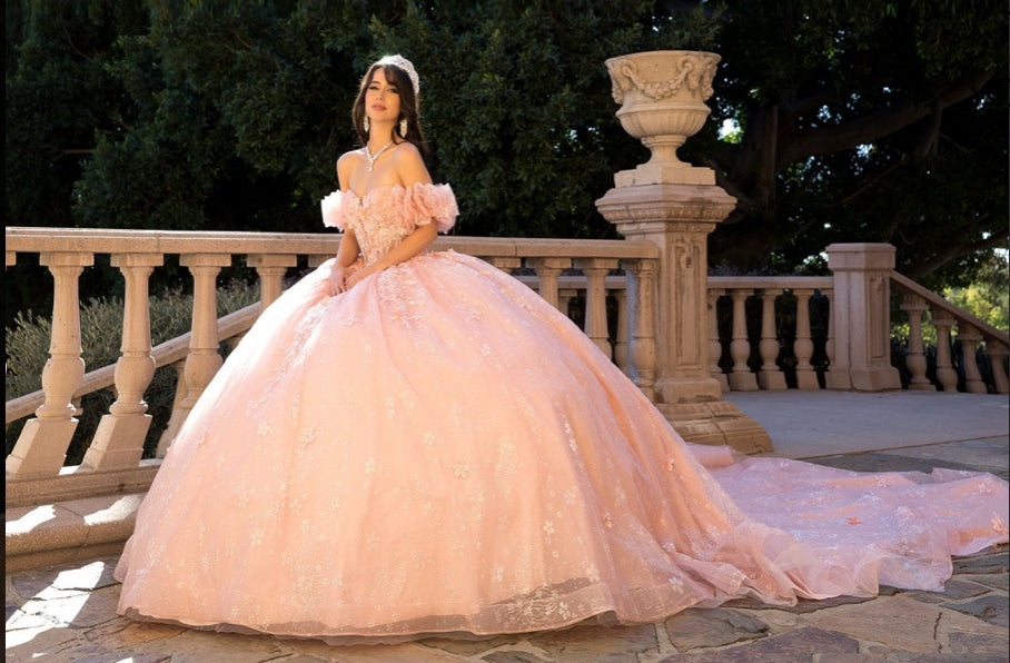 Exquisite Off Shoulder & 3D Flower Quince Dress. PQ1064 by Bella Couture