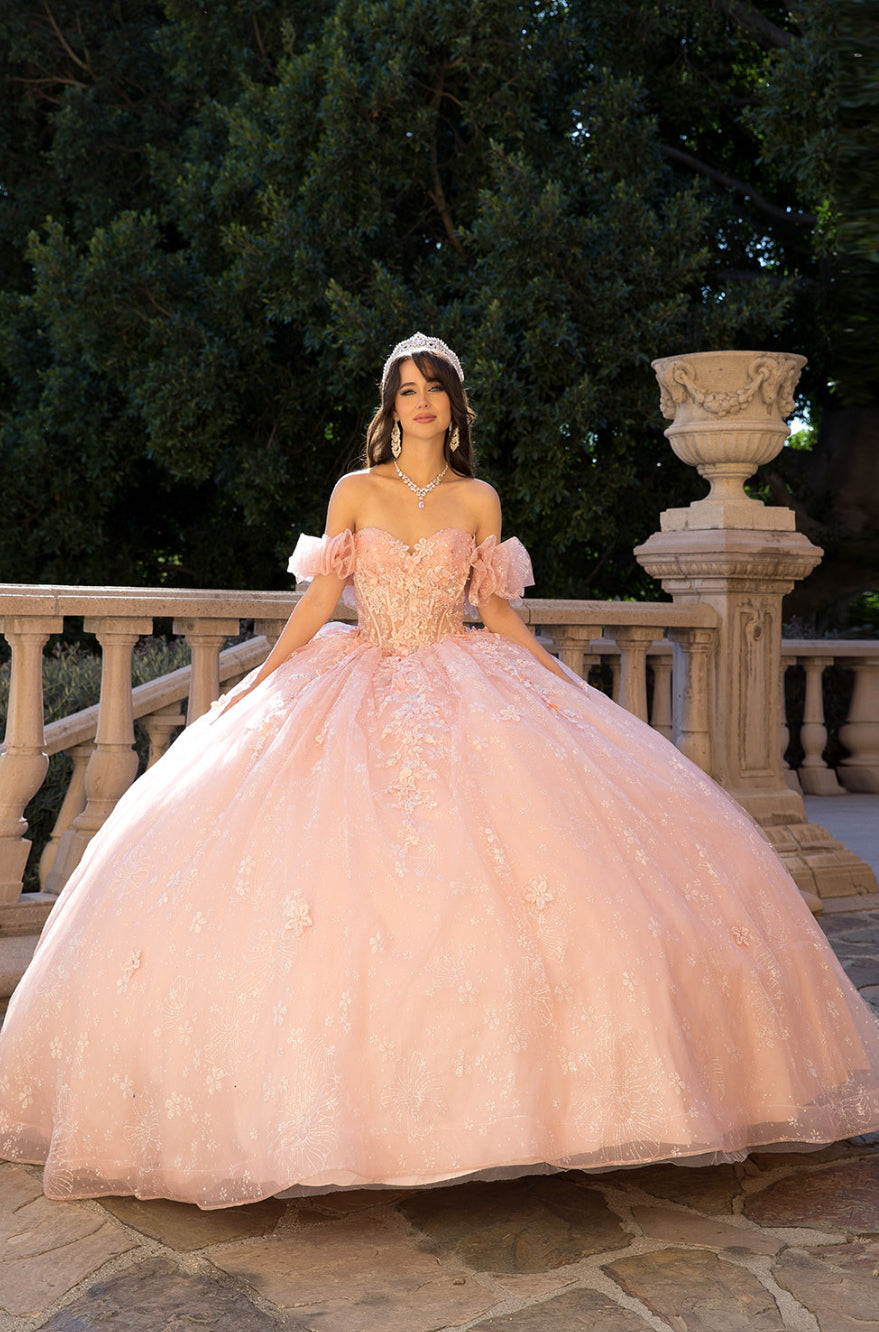 Exquisite Off Shoulder & 3D Flower Quince Dress. PQ1064 by Bella Couture