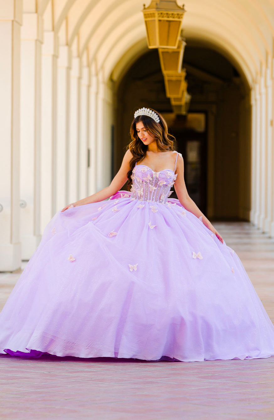 Corset Bodice Two tone Butterfly Quince Dress. PQ1032 by Bella Couture