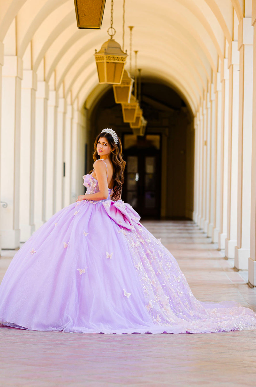 Corset Bodice Two tone Butterfly Quince Dress. PQ1032 by Bella Couture