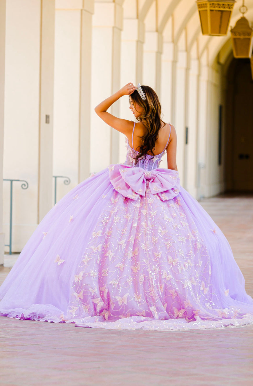 Corset Bodice Two tone Butterfly Quince Dress. PQ1032 by Bella Couture