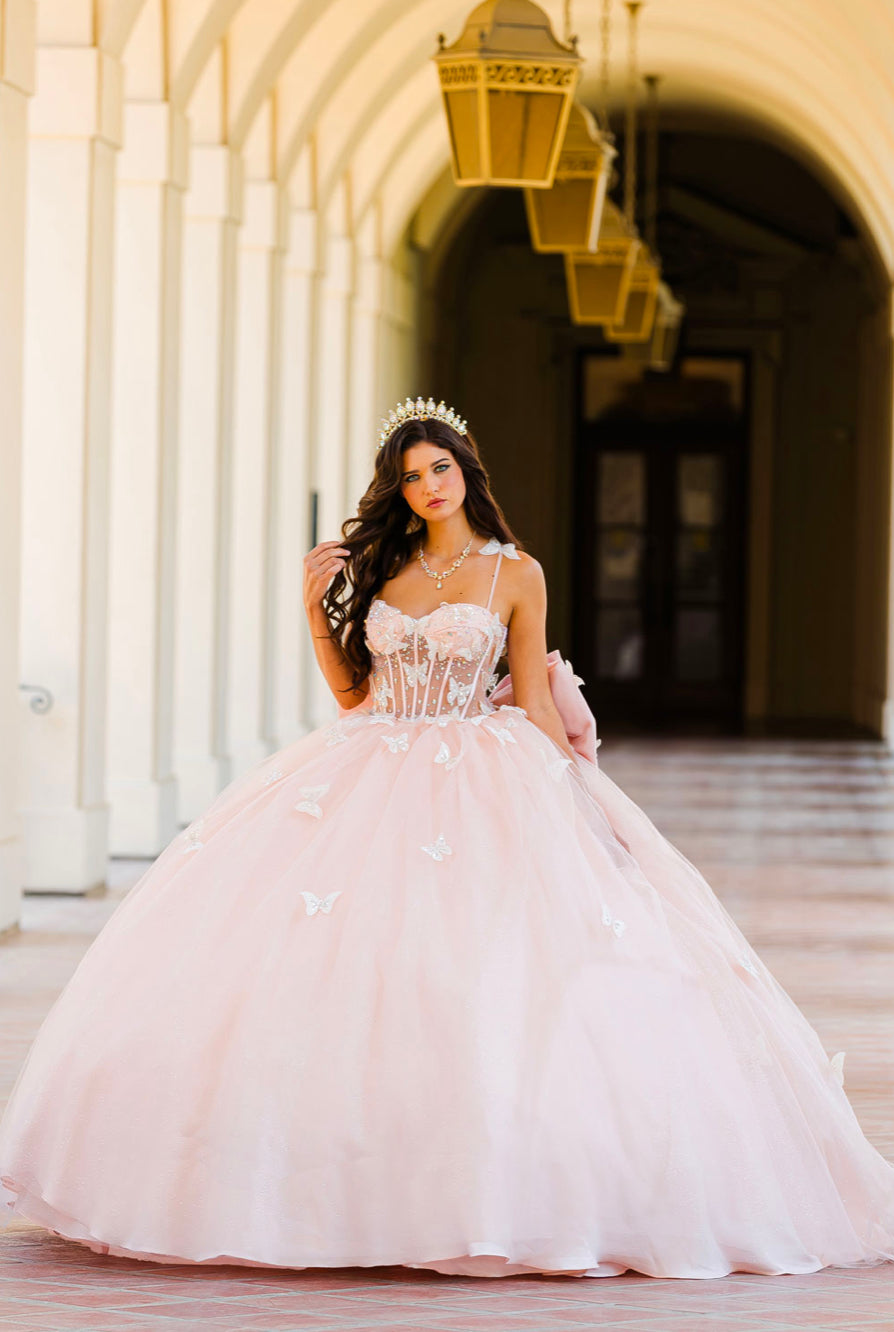 Corset Bodice Two tone Butterfly Quince Dress. PQ1032 by Bella Couture