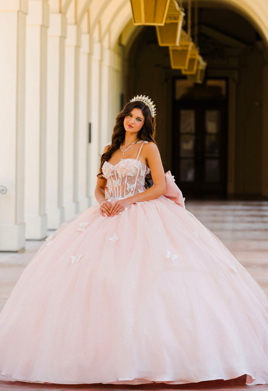 Corset Bodice Two tone Butterfly Quince Dress. PQ1032 by Bella Couture