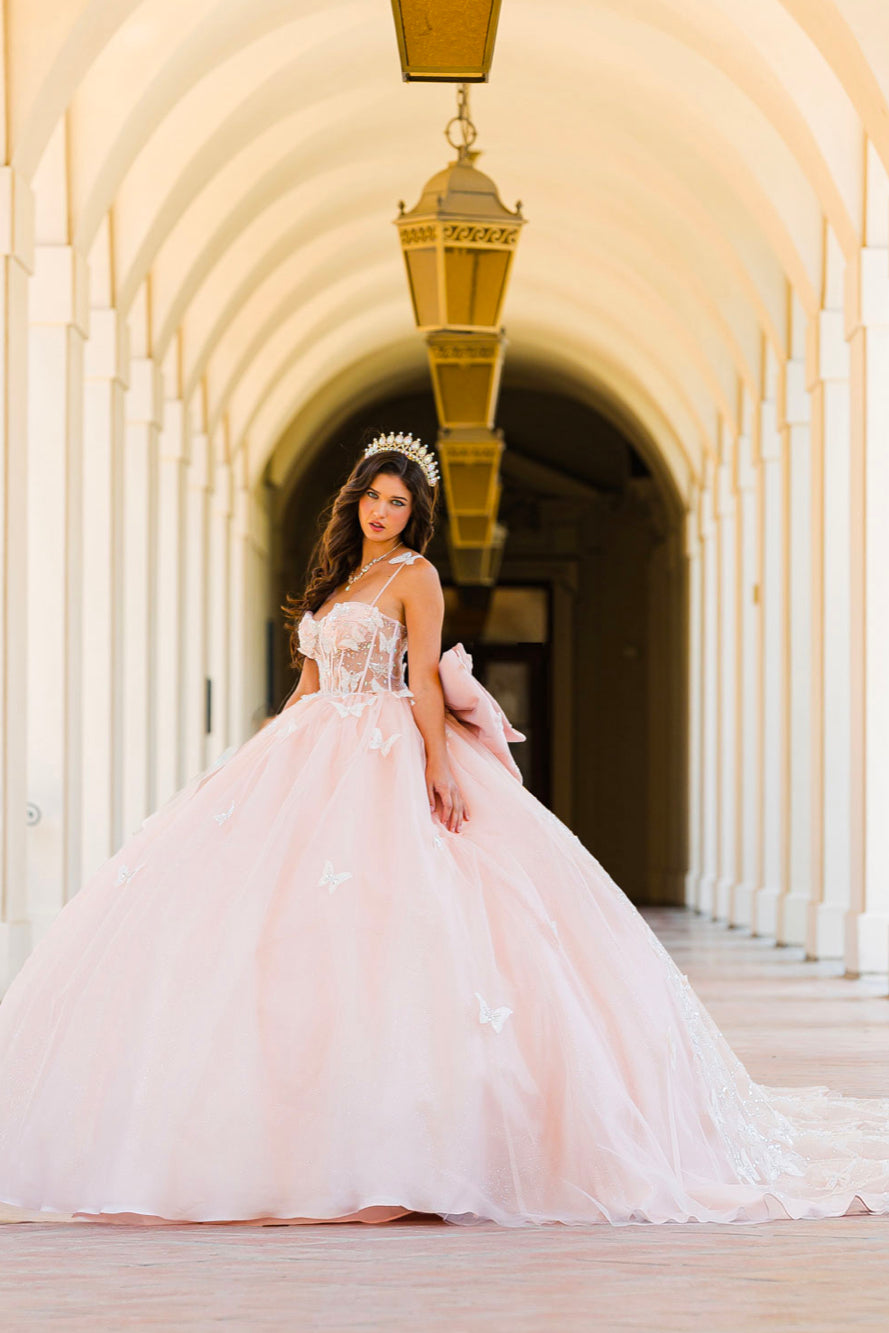 Corset Bodice Two tone Butterfly Quince Dress. PQ1032 by Bella Couture