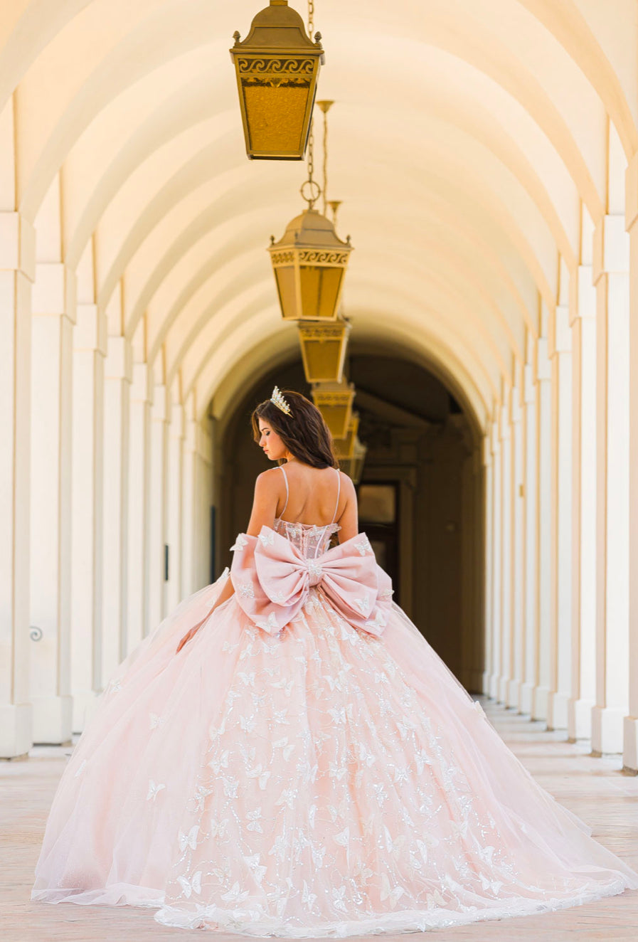 Corset Bodice Two tone Butterfly Quince Dress. PQ1032 by Bella Couture