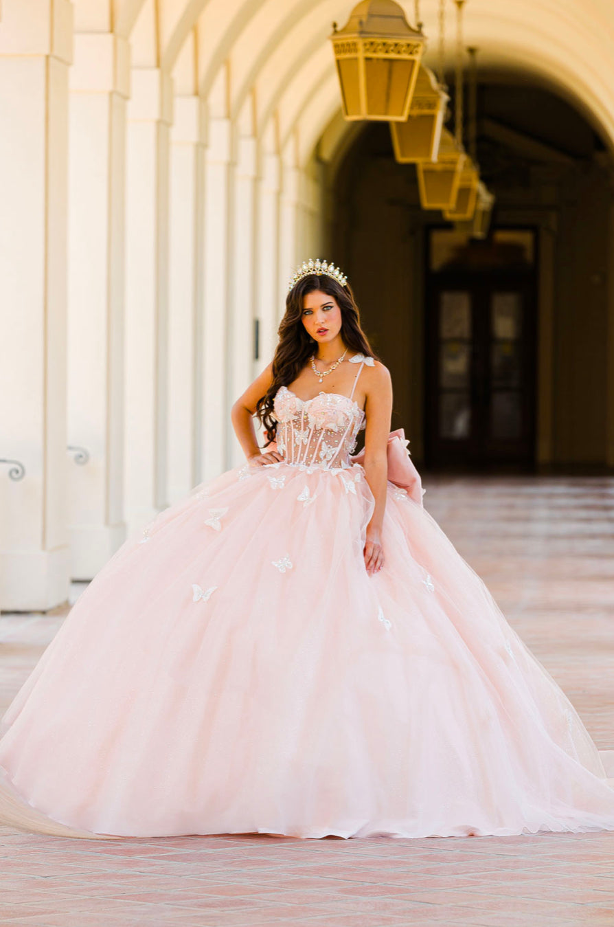 Corset Bodice Two tone Butterfly Quince Dress. PQ1032 by Bella Couture