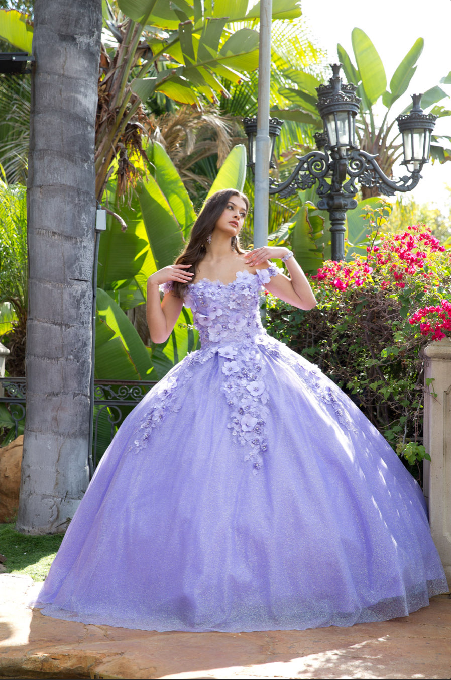 Madeline 3D Floral Off Shoulder Quince Dress without Cape. PQ1002 BY Bella Couture