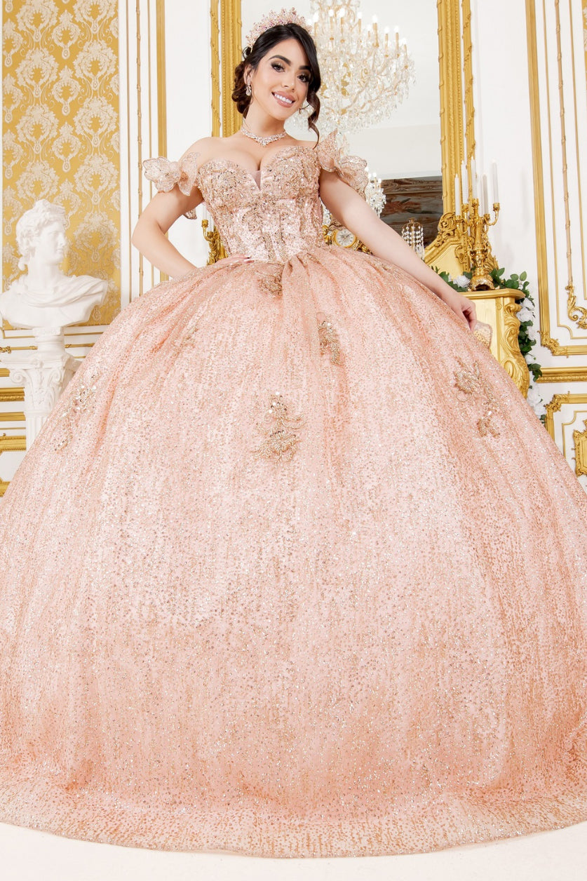 Off Shoulder Butterfly Quinceanera Dress. 8120J by Cinderella Couture