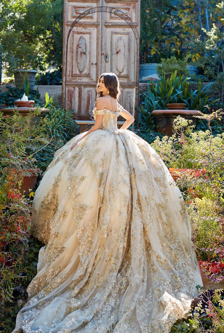 Bedazzled Off The Shoulder, Cathedral Train. PQ1055 By Bella Couture