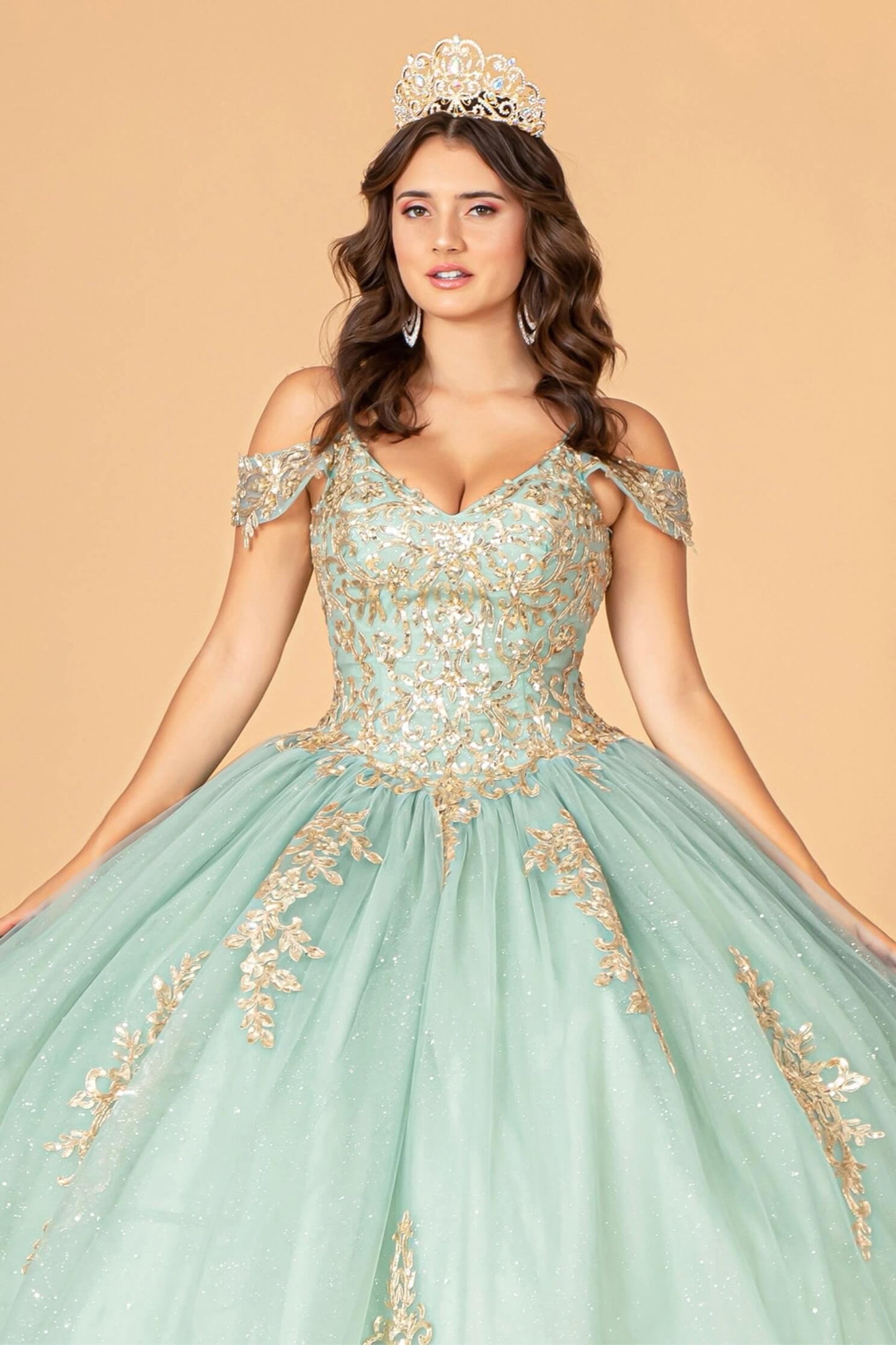 Gold Embroidered Mesh Quinceanera Ball Gown w/ Corset Back Airy Mesh Fabric with Sparkly Glitter by Elizabeth K GL3100 (GLS COLLECTIVE)