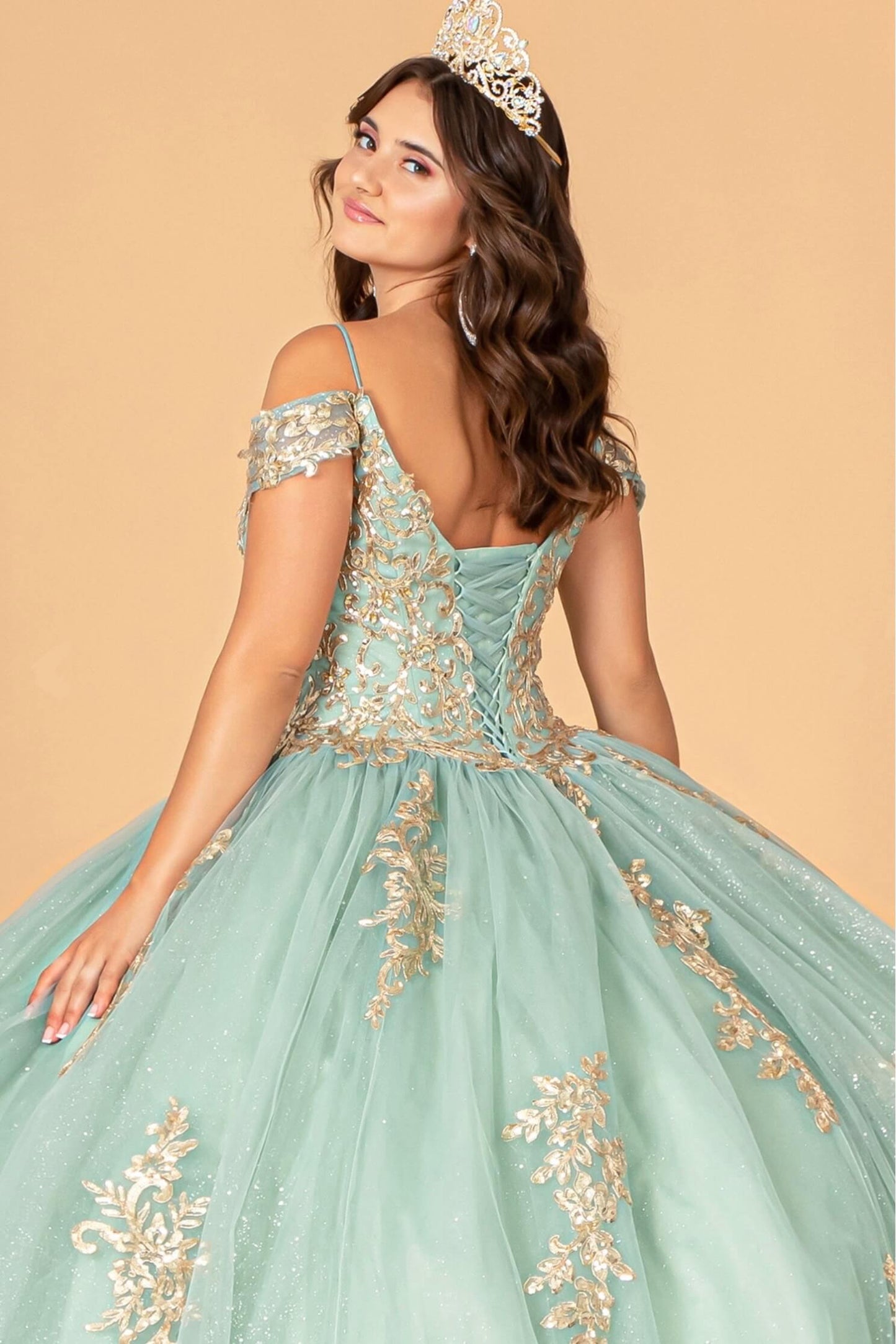 Gold Embroidered Mesh Quinceanera Ball Gown w/ Corset Back Airy Mesh Fabric with Sparkly Glitter by Elizabeth K GL3100 (GLS COLLECTIVE)