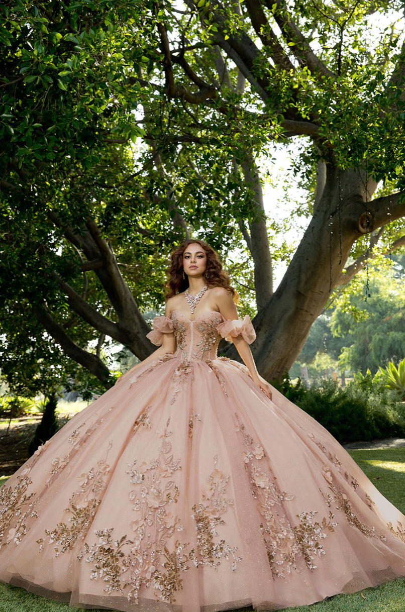 Pleated Cup, 3D Flowers Quince Dress. PQ1089 BY BELLA COUTURE