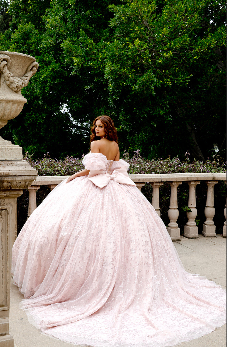 High Quality Glass beaded Quince Dress. PQ1080 by Bella Couture