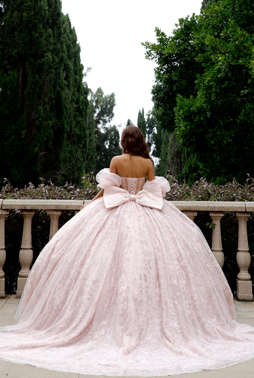 High Quality Glass beaded Quince Dress. PQ1080 by Bella Couture
