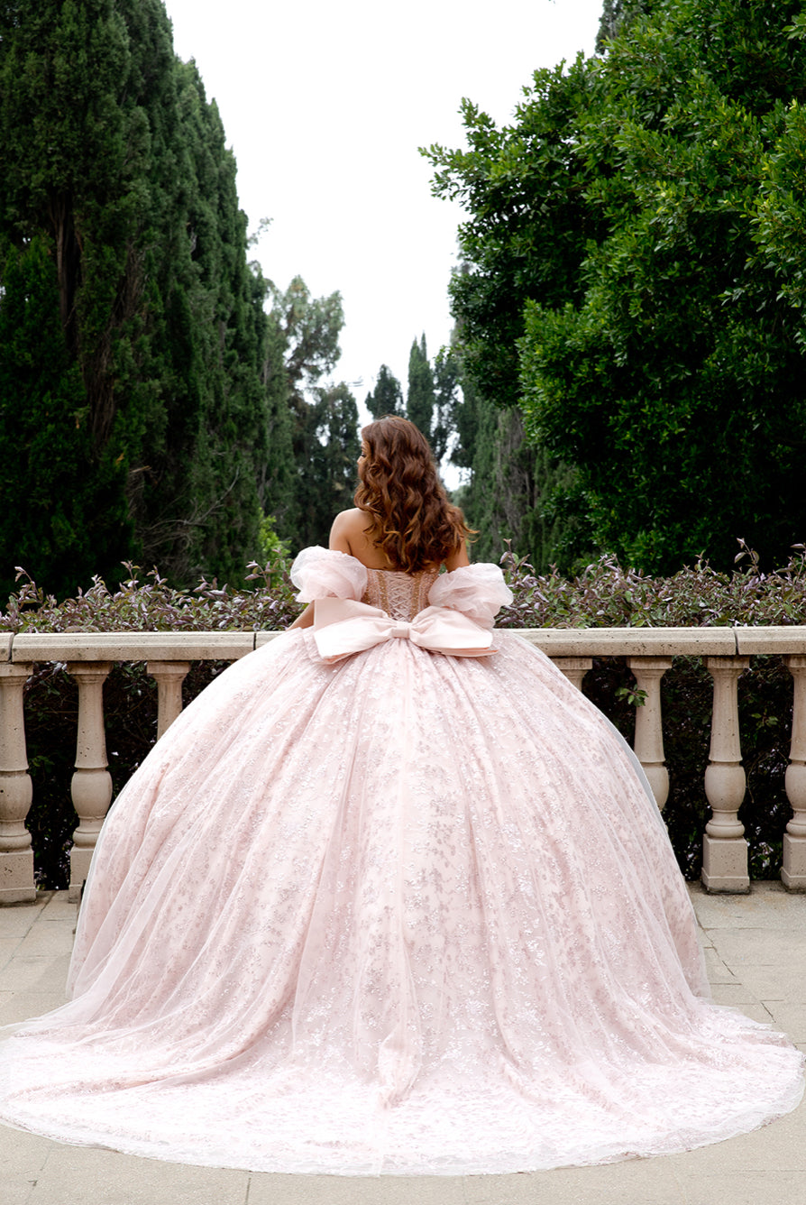 High Quality Glass beaded Quince Dress. PQ1080 by Bella Couture