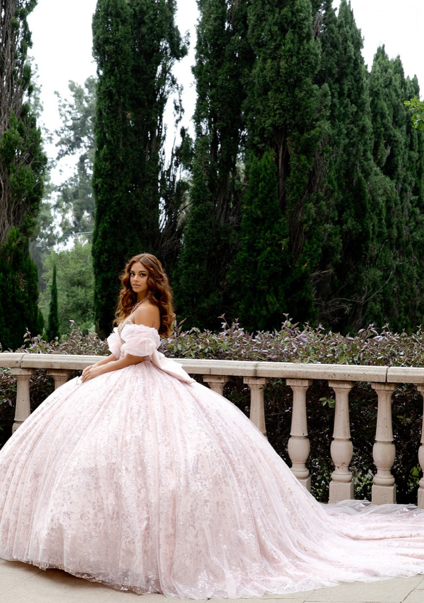 High Quality Glass beaded Quince Dress. PQ1080 by Bella Couture