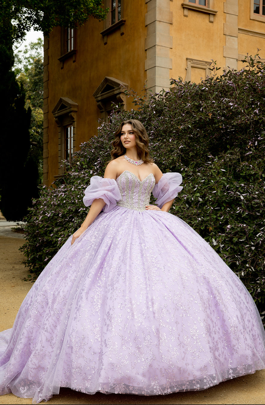 High Quality Glass beaded Quince Dress. PQ1080 by Bella Couture
