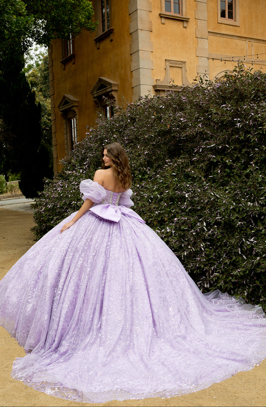 High Quality Glass beaded Quince Dress. PQ1080 by Bella Couture