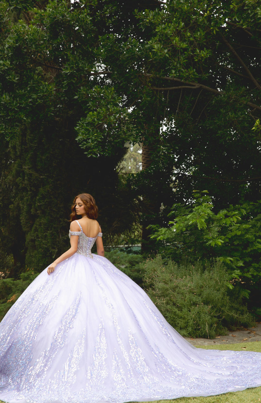 Platinum Quinceanera Dress. PQ1077 by Bella Couture