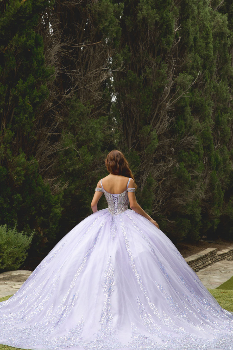 Platinum Quinceanera Dress. PQ1077 by Bella Couture