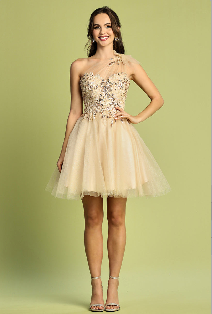 See-through corset, one strap dress. 1054 BY ADORA DESIGN