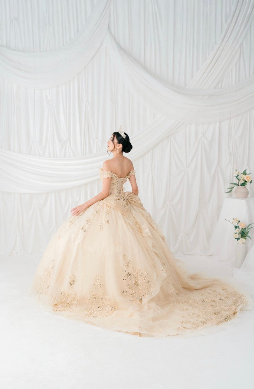 Off Shoulder Quinceanera Dress. 8111J by Cinderella Couture