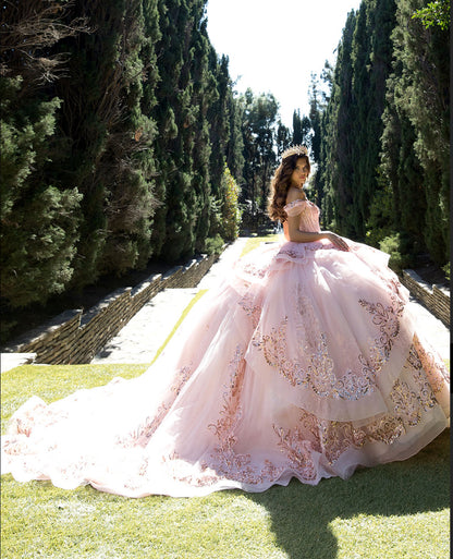 Long Train Embroidered Quince Dress. PQ1074 BY Bella couture.