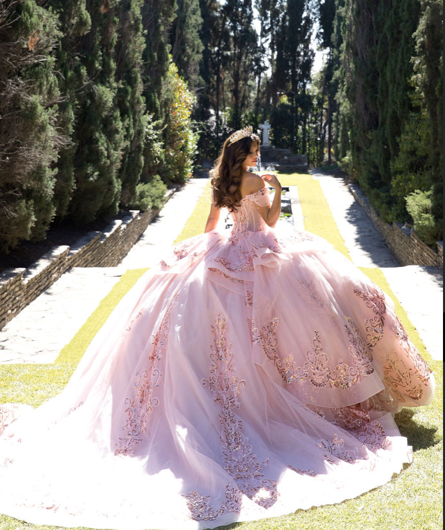 Long Train Embroidered Quince Dress. PQ1074 BY Bella couture.