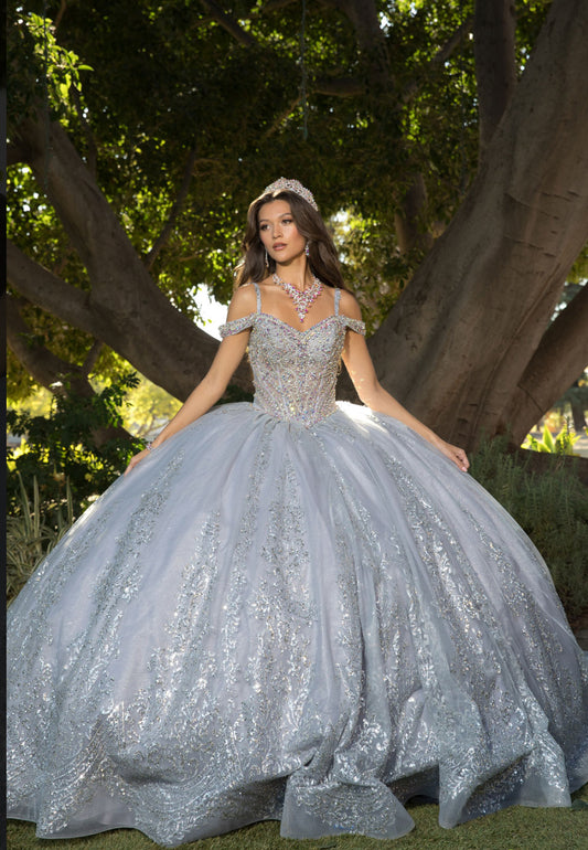 Platinum Quinceanera Dress. PQ1077 by Bella Couture