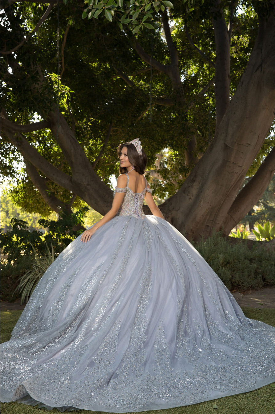Platinum Quinceanera Dress. PQ1077 by Bella Couture
