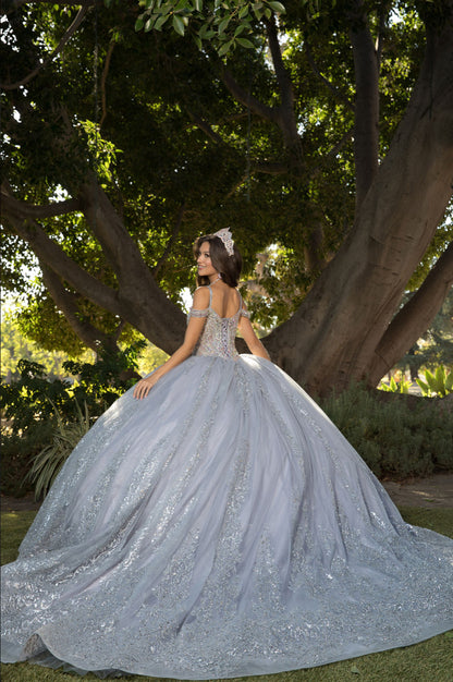 Platinum Quinceanera Dress. PQ1077 by Bella Couture