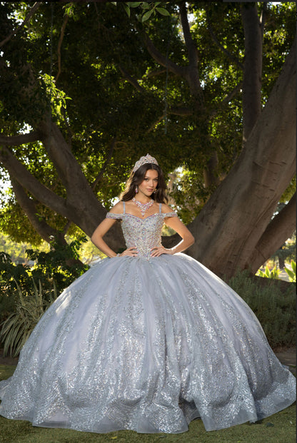 Platinum Quinceanera Dress. PQ1077 by Bella Couture