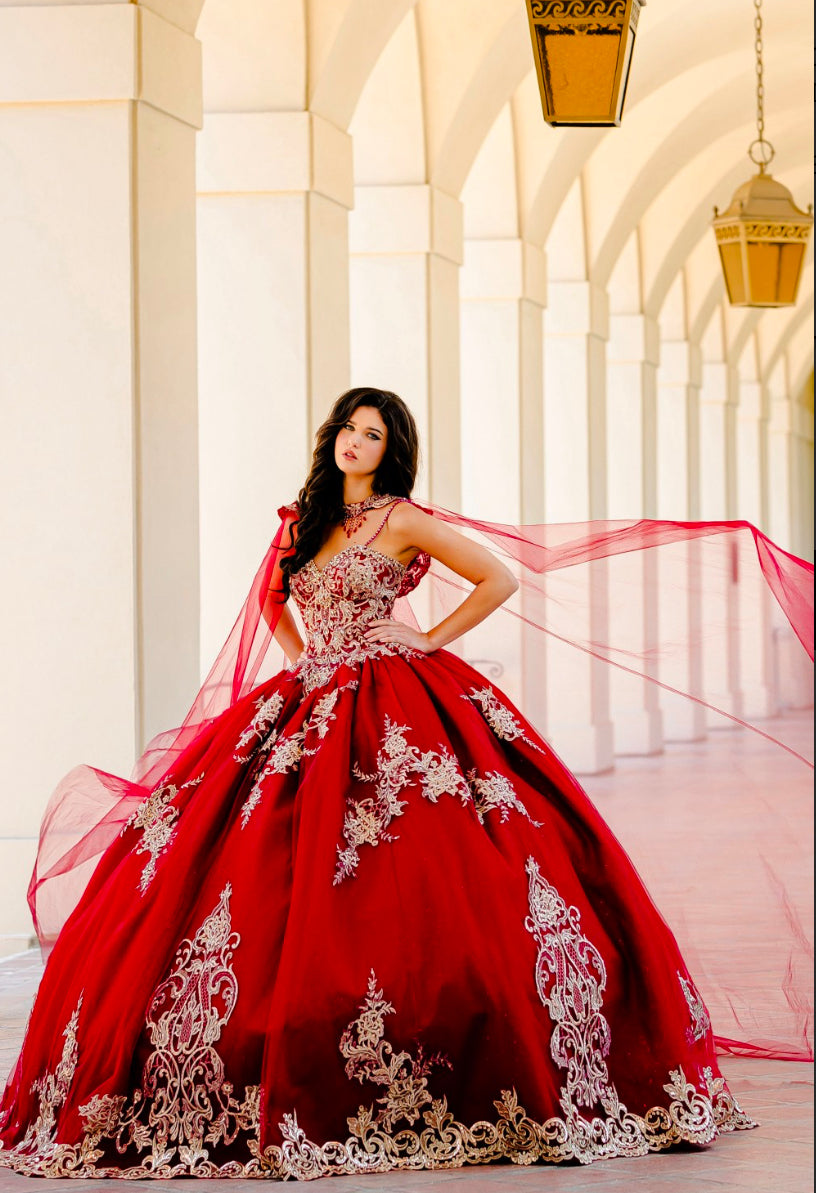 Embroidered Lace Quinceanera dress. PQ1016 By Bella Couture.