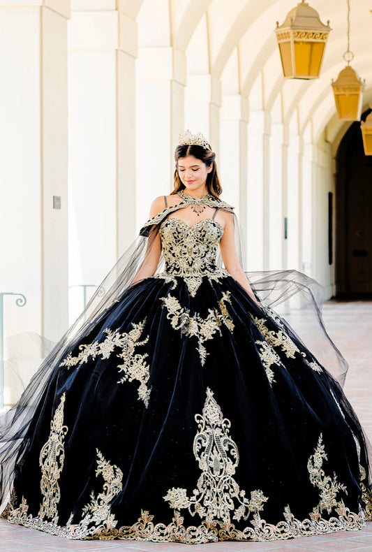 Embroidered Lace Quinceanera dress. PQ1016 By Bella Couture.