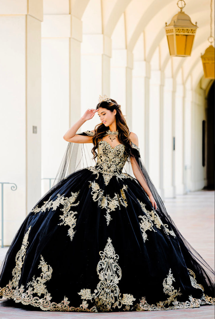 Embroidered Lace Quinceanera dress. PQ1016 By Bella Couture.