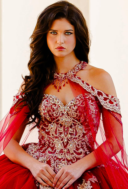 Embroidered Lace Quinceanera dress. PQ1016 By Bella Couture.